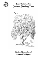 Guide_To_Tree_Sketching_PDF.pdf